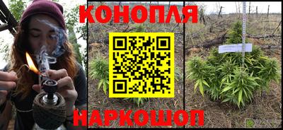ГАЛЛЮЦИНОГЕННЫЕ ГРИБЫ Гагарин