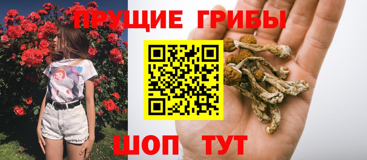 Галлюциногенные грибы Magic Shrooms  Вход с VPN  Трёхгорный 